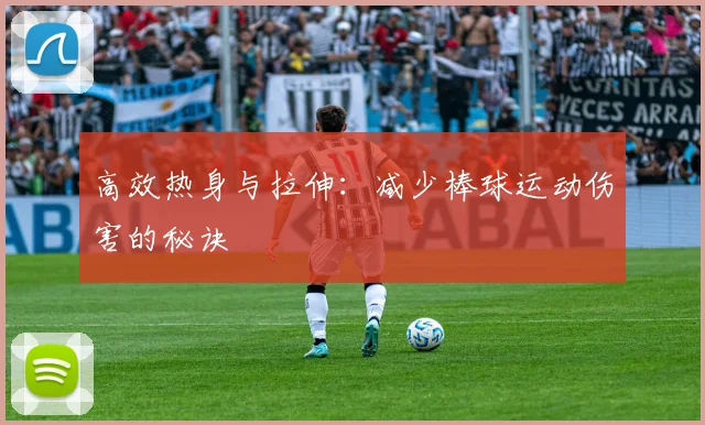 高效热身与拉伸：减少棒球运动伤害的秘诀