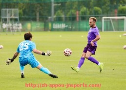 江南体育APP-德甲中游球队的平均市值是多少？